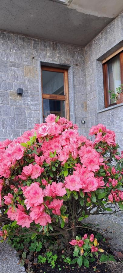 Villa La Serra Baveno Extérieur photo